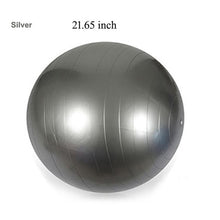 Load image into Gallery viewer, Sport Fitness balls Balance Pilates Equipment Exercise Gym Balance Men With Pump 55cm 65cm